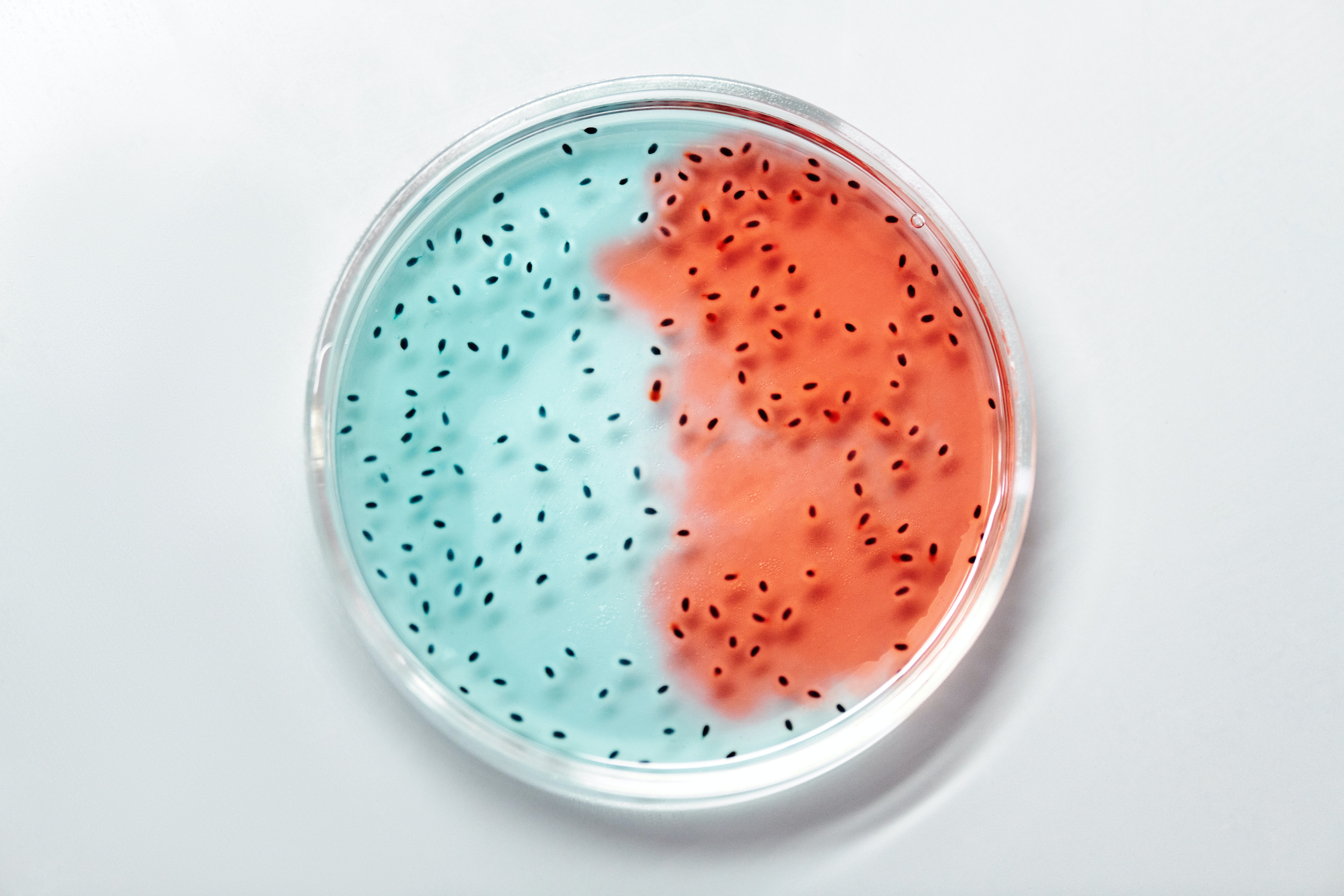 Engenharia Genética e Bioprocessos engenharia-genetica-bioprocessos