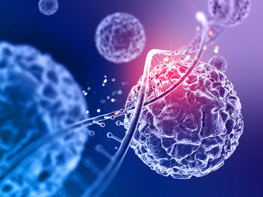 Biologia Molecular e Celular bmc