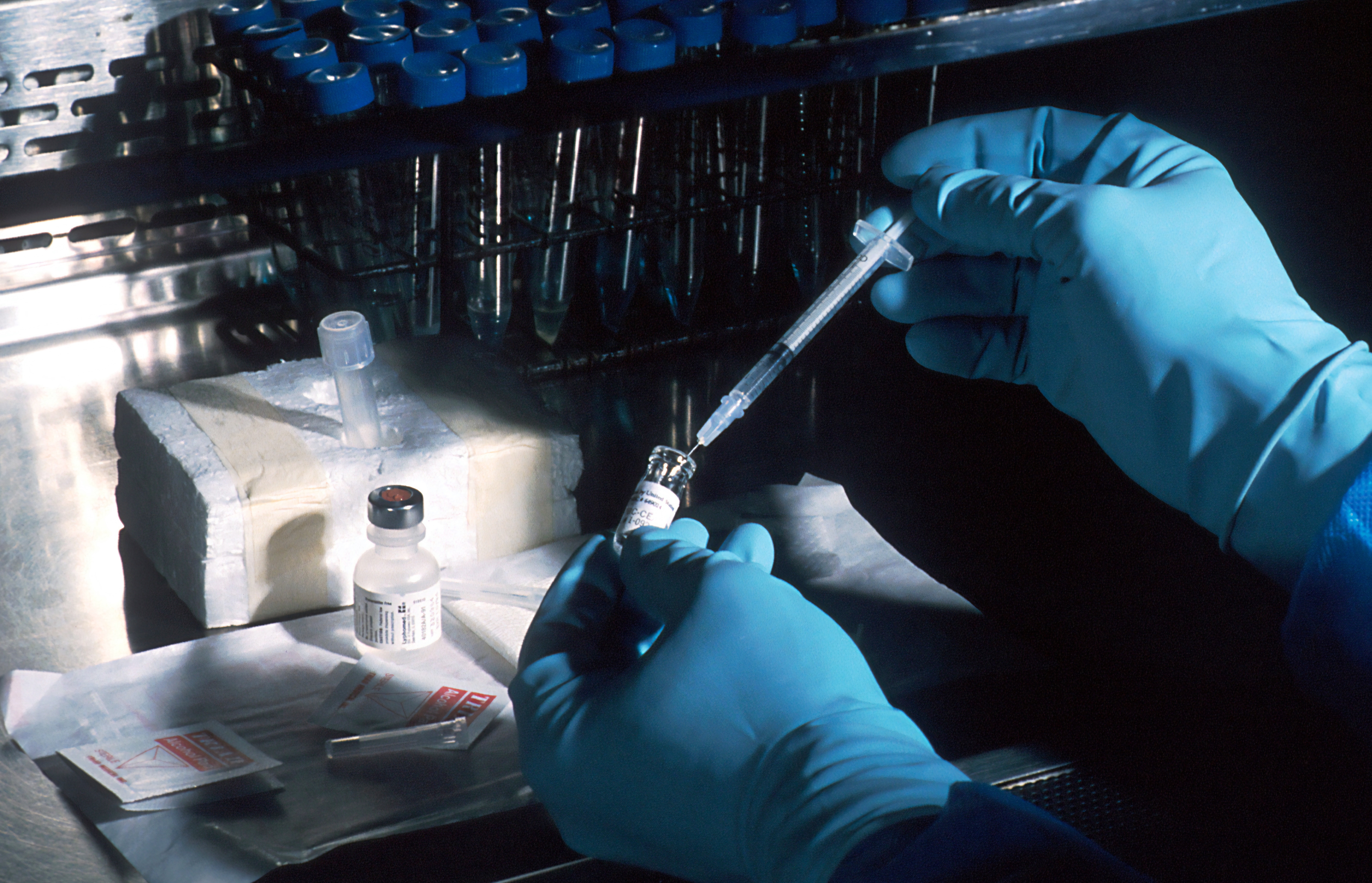 Engenharia Genética e Bioprocessos egb