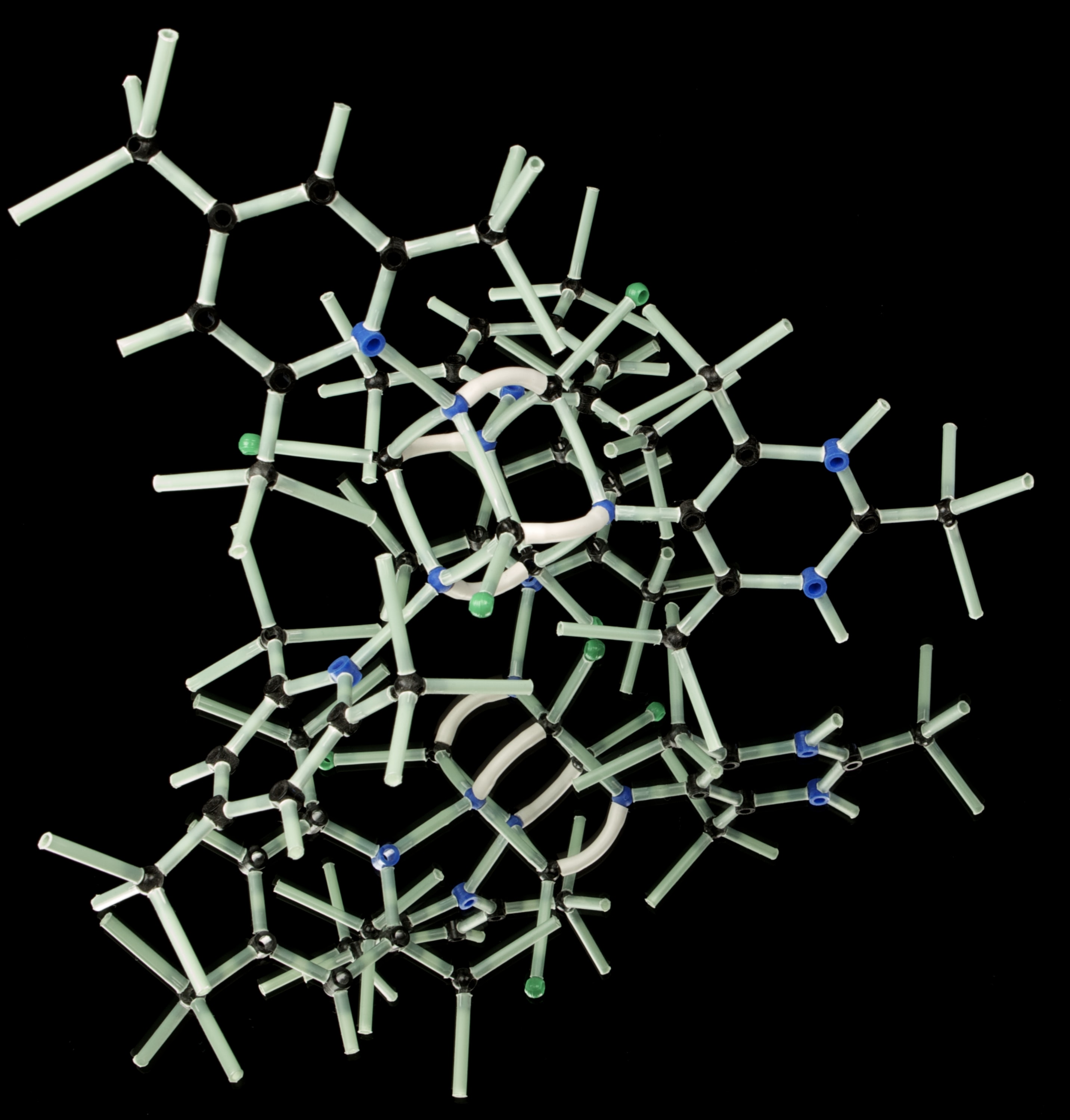 Genética genetica